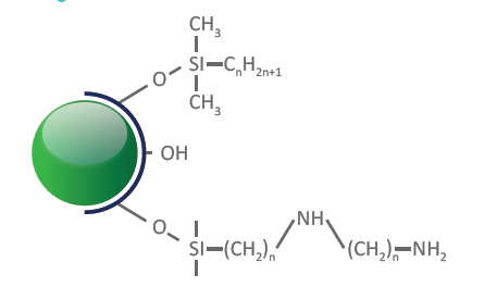 oligo.png